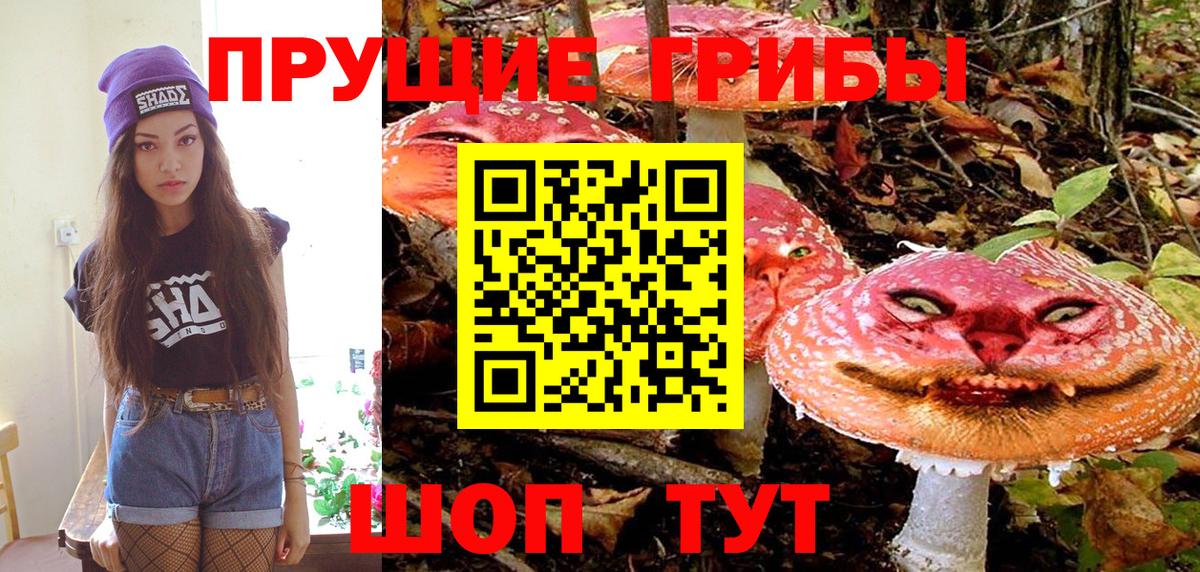 Псилоцибиновые грибы Cubensis Полевской