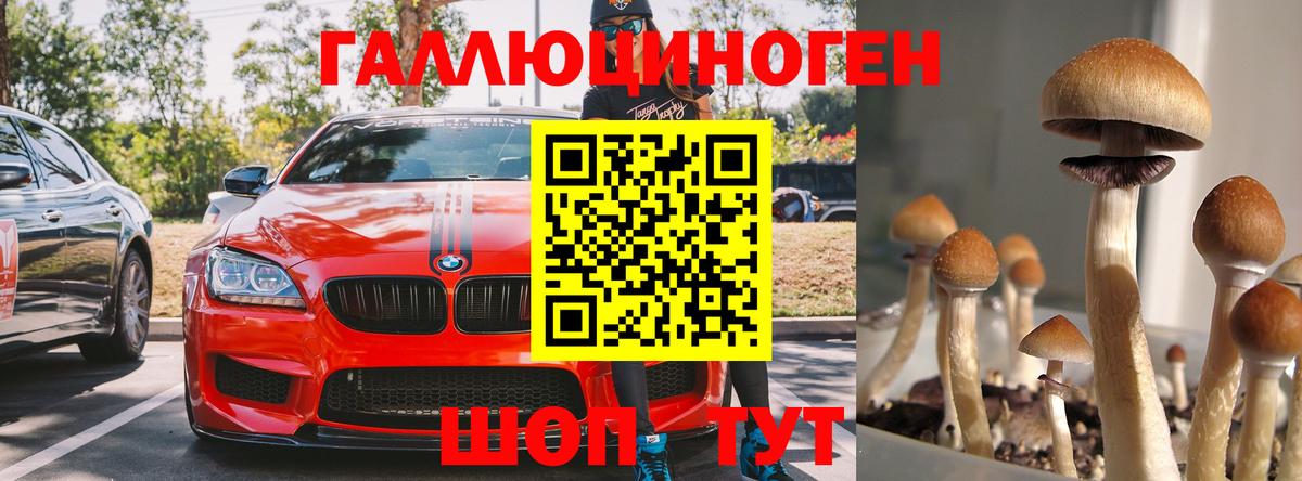 Псилоцибиновые грибы Magic Shrooms  Вход с VPN  Полевской 